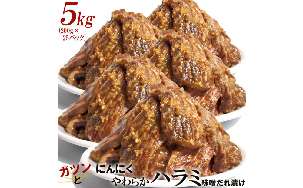 ガツンとにんにくやわらかハラミ味噌だれ漬け5kg（200g×25）