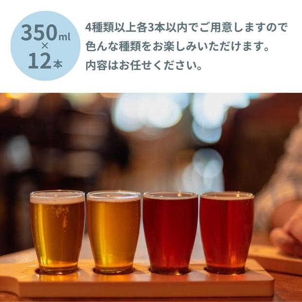 SETOUCHI おまかせ訳ありビール 12缶セット