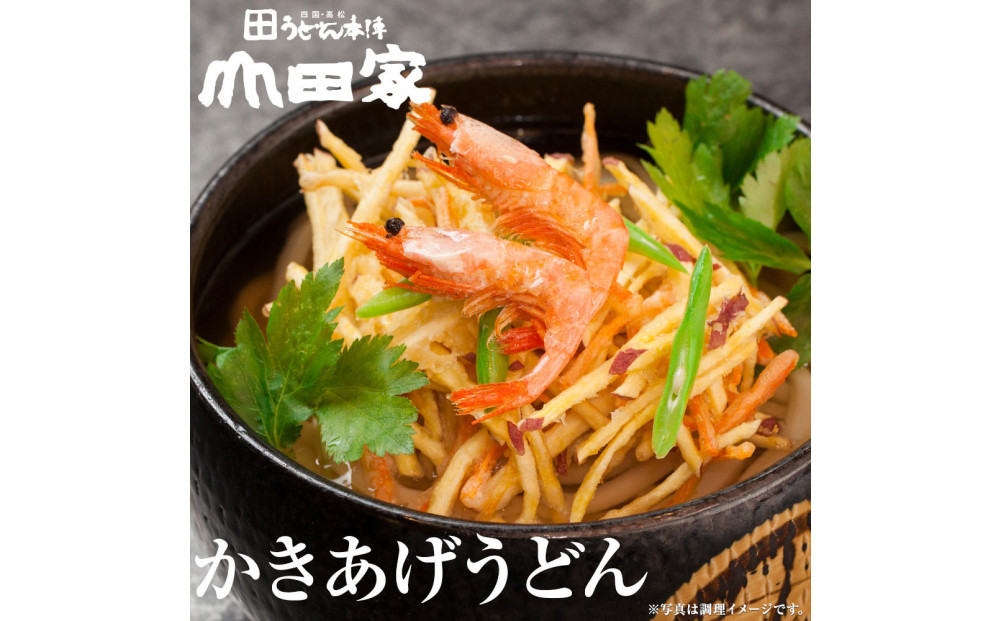 うどん本陣山田家心温まる讃岐の味セット～冷凍讃岐うどん　えび天・きつね・かき揚げセット/10人前（高松市）