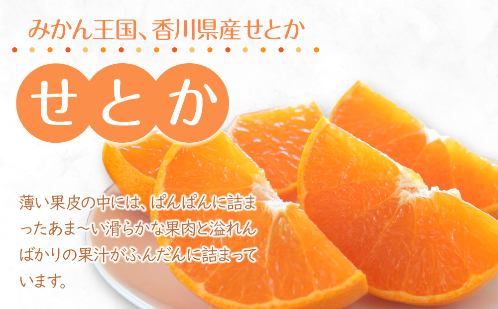 【2027年3月中旬より順次発送】柑橘界の大トロ！せとか　約3kg｜果物 くだもの フルーツ 柑橘 みかん せとか ミカン 人気 おすすめ お土産 ギフト 贈答 家庭用 先行予約 人気 おすすめ 香川 高松