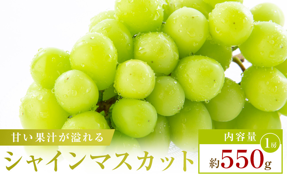 【お試し用】シャインマスカット　約550g