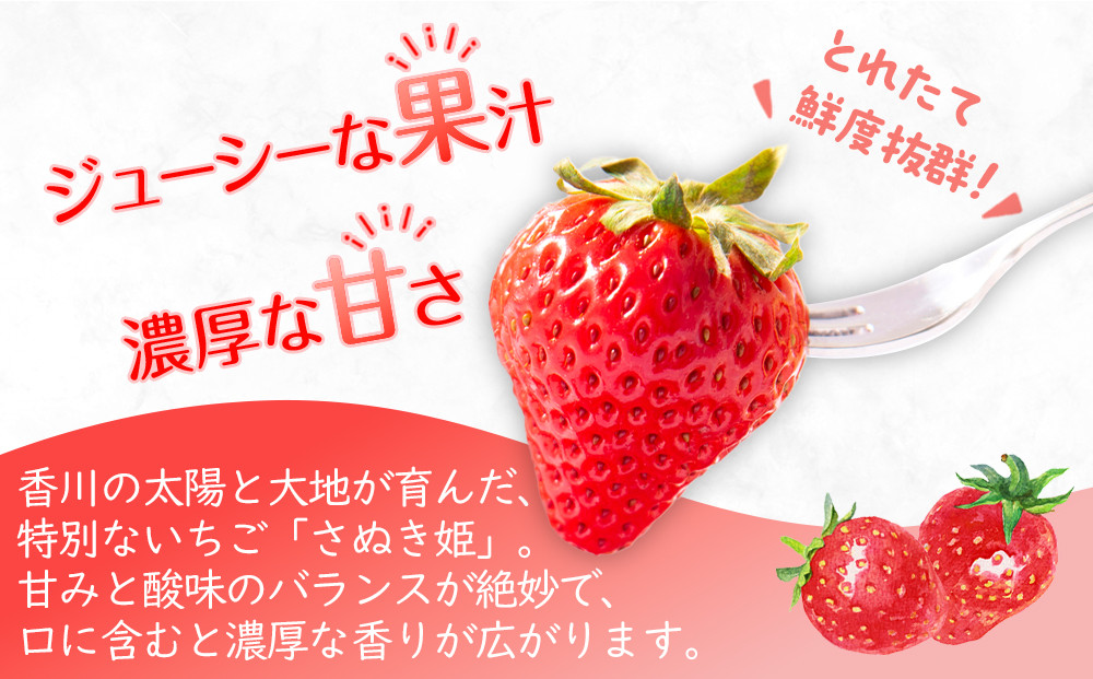 ã2026幎1æäžæ¬ããé æ¬¡çºéããã¬ãå§«ãã¡ãã12ããã¯(1ããã¯çŽ250g)ïœæç© ãã ãã® ãã«ãŒã ã€ã㎠ãã¡ã èº ãã¬ãã²ã å
è¡äºçŽ äººæ° ãããã ã®ãã