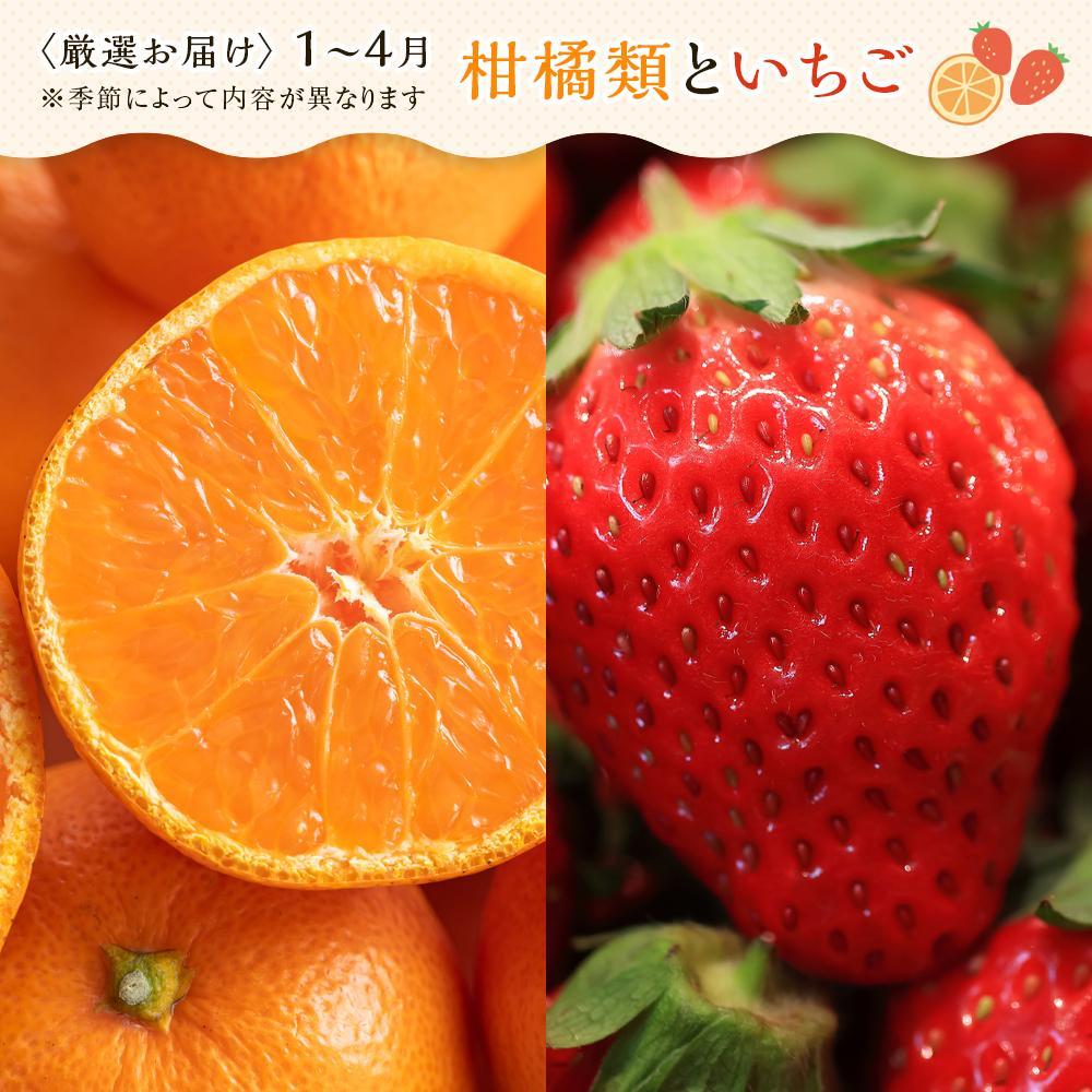 ããæ³æ®ã®ãã/çšæå¯Ÿå¿ã嵿¥130äœå¹ŽïŒèèæç©åºãèŠæ¥µãããå³éžãã«ãŒãè©°åãâªå€§æºè¶³ã»ãã ïŒ5ïœ8åçš®ïŒ