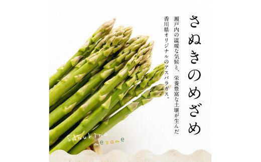 ご家庭用 さぬきのめざめセミロング30cm(細物・サイズ混合) 約1.5kg【2025-3月上旬～2025-6月下旬配送】