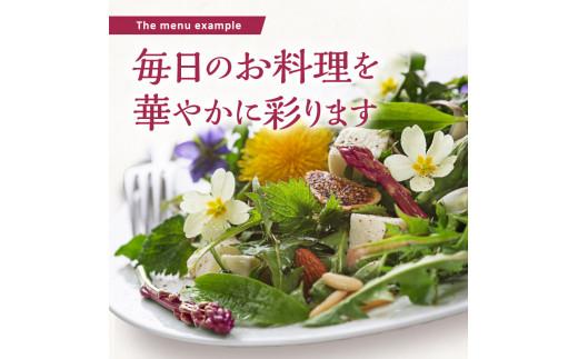 貴重で甘みが強い ! ご家庭用 紫 アスパラガス (細物・サイズ混合) 約900g【2024-6月上旬～2024-10月中旬配送】