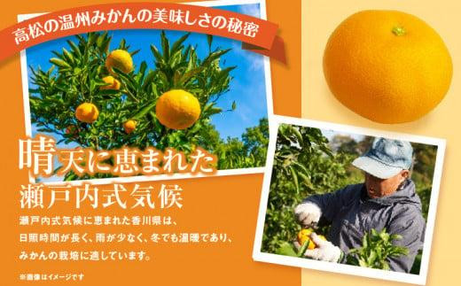 【先行予約】瀬戸内温州みかん　M～3Sサイズ　約2.5kg【2026年10月上旬～2027年1月下旬配送予定】