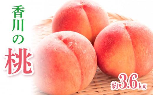香川の桃 約3.6kg【2026年6月中旬～2026年8月上旬配送】