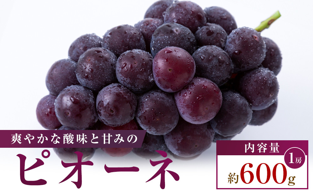 【食べきりサイズ】ピオーネ　約600g