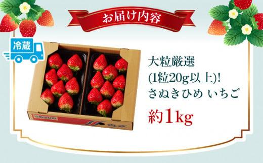 大粒厳選(1粒20g以上)!さぬきひめいちご 約1kg【2025-3月上旬～2025-3月下旬配送】