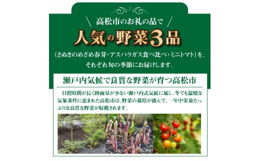 季節のやさい 人気 厳選 高松市 3回 [旬な季節に合計3回発送]定期便D