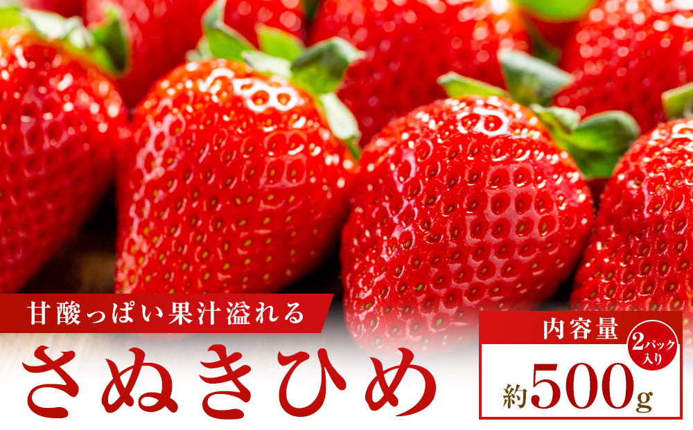 【大収穫祭・感謝企画】数量限定!!さぬきひめいちご　約500g
