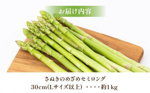 柔らかさと甘みが際立つ さぬきのめざめセミロング30cm(Lサイズ以上) 約1kg【2025-3月上旬～2025-6月下旬配送】