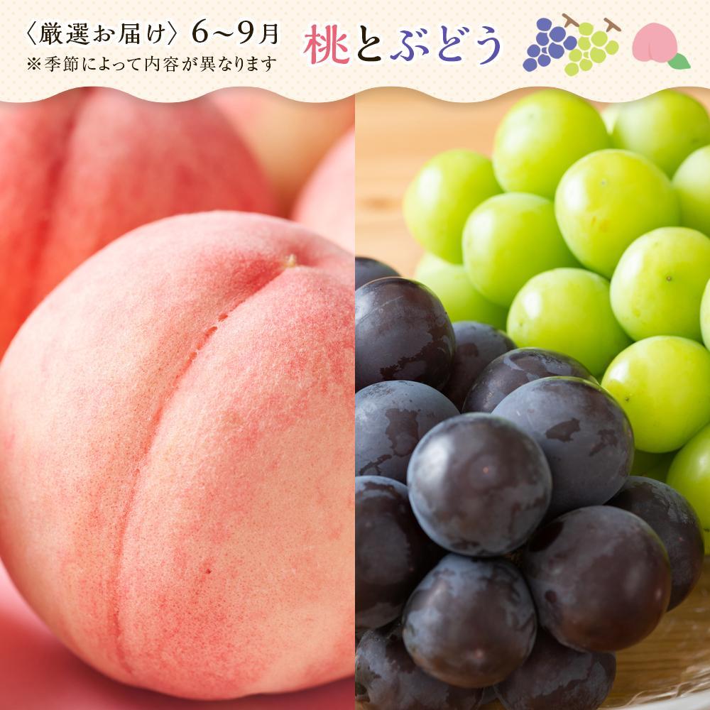 【お歳暮ギフト/熨斗対応】創業130余年！老舗果物店が見極めた、厳選フルーツ詰合せ♪満足セット （3～5品種）