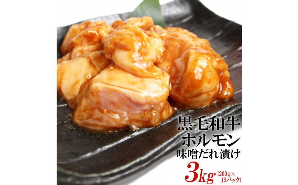 黒毛和牛ホルモン味噌だれ漬け3kg（200g×15）