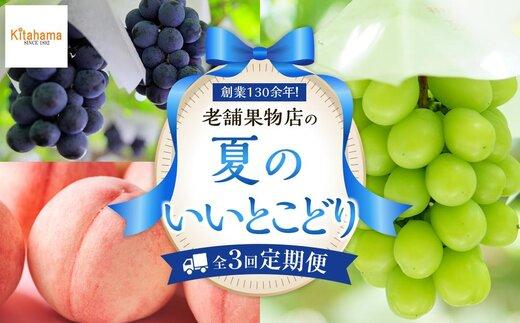 【定期便全3回】夏のいいとこどり定期便（7・8・9月）