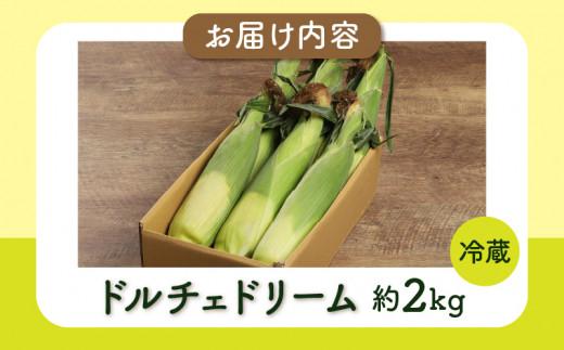 ＼寄附額改定／ドルチェドリーム 約2kg(高松市)【2025-6月上旬～2025-7月上旬配送】