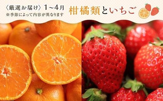 【12ヶ月連続定期便】 創業130余年！老舗果物店の厳選フルーツ詰合せ♪満足セット（3～5品種）