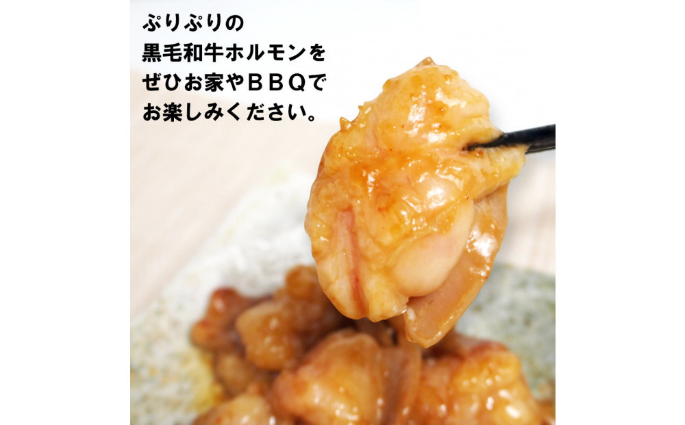 黒毛和牛ホルモン味噌だれ漬け1.6kg（200g×8）