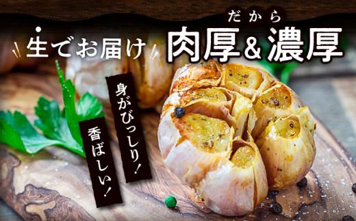 加工用 訳あり 生にんにく 約2kg【2025-5月上旬～2025-6月上旬配送】