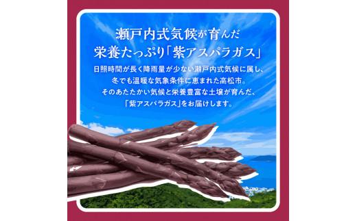 貴重で甘みが強い! 紫アスパラガス ( Mサイズ ) 約1.5kg【2024-6月上旬～2024-10月中旬配送】