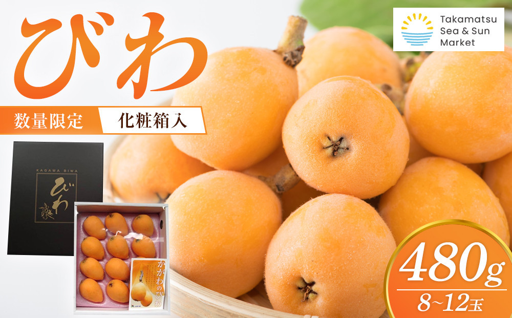 『数量限定』びわ　480ｇ化粧箱　8玉～12玉
