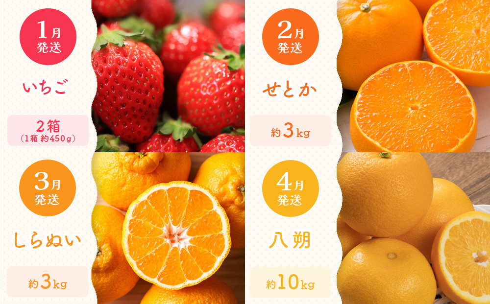 ãå®æäŸ¿å
š12åãæ¬æå³éžïŒåå£ãå³ããååå®æäŸ¿âªïœãã¬ãã¢ã ççŽéžæïœ