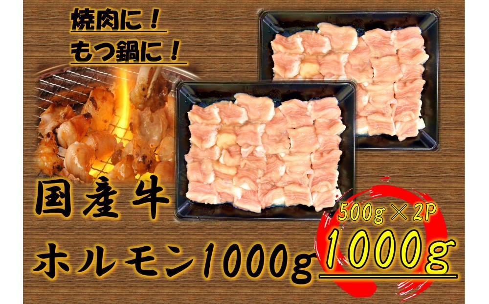 国産牛　ホルモンセット　1000g