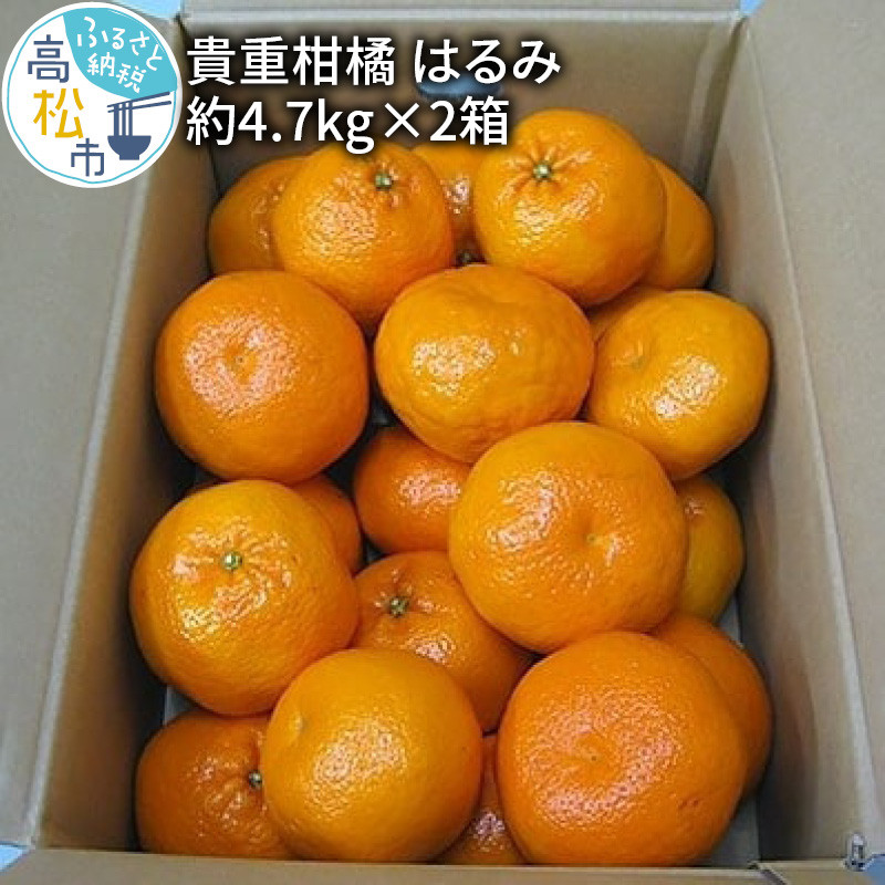 貴重柑橘　はるみ　約4.7kg×2箱【2025年2月上旬〜2025年3月中旬配送】