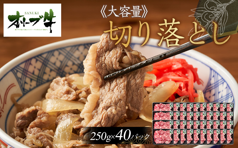 《おすそわけにも・小分け・大容量》オリーブ牛切り落とし10kg