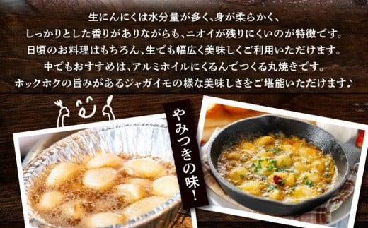 加工用 訳あり 生にんにく 約4kg【2025-5月上旬～2025-6月上旬配送】