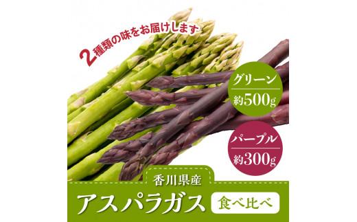 グリーン(約500g)・パープル(約300g)アスパラガス食べ比べセット【2025-3月上旬～2025-9月下旬配送】