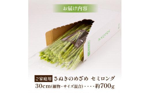 ご家庭用 さぬきのめざめセミロング30cm(細物・サイズ混合) 約700g【2025-3月上旬～2025-6月下旬配送】