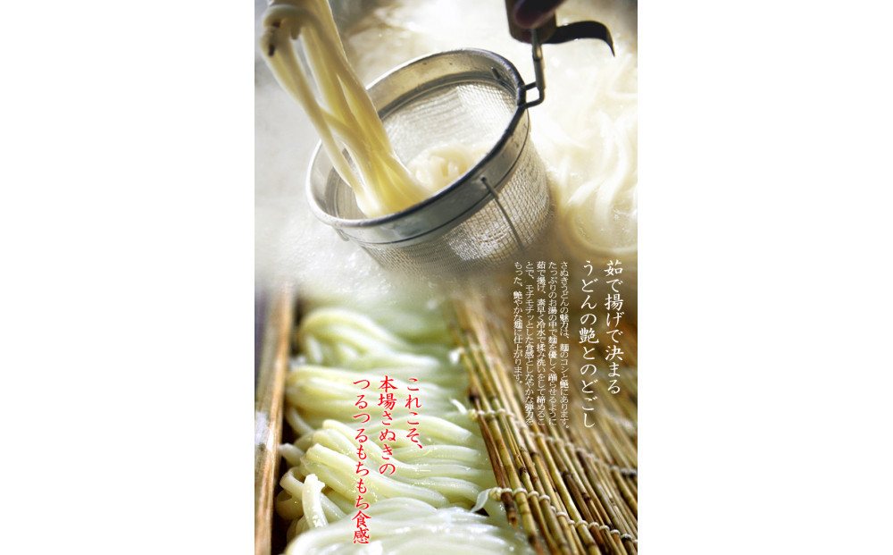 冷凍さぬきうどん 麵処 春奈 特上の2種6人前 特大海老天 大判ふっくらお揚げ