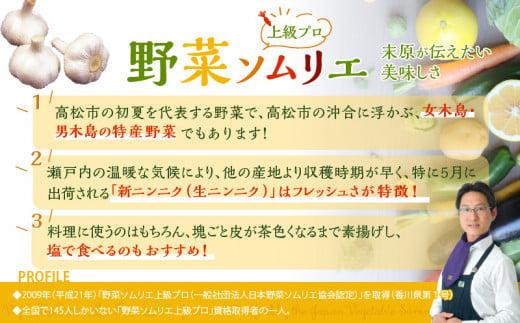 加工用 訳あり 生にんにく 約4kg【2025-5月上旬～2025-6月上旬配送】