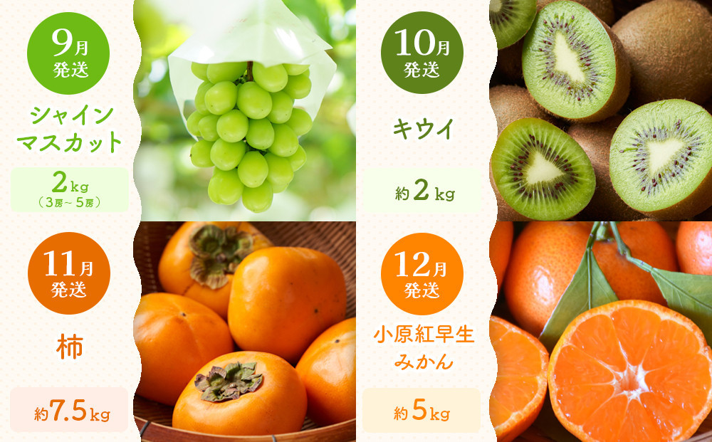 ãå®æäŸ¿å
š12åãæ¬æå³éžïŒåå£ãå³ããååå®æäŸ¿âªïœãã¬ãã¢ã ççŽéžæïœ