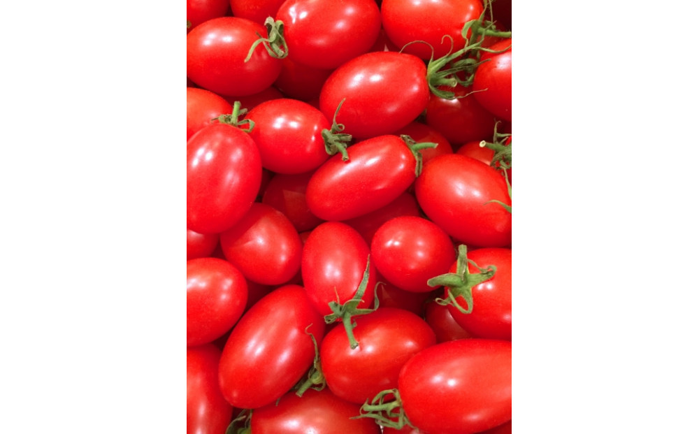瀬戸ガーネット　1kgと夏野菜詰め合わせセット３～４人分【6月下旬以降発送】