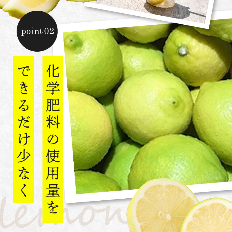 レモン　約5kg【2024年11月下旬〜2025年4月上旬配送】