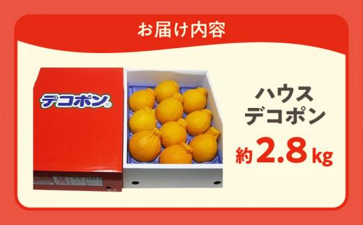 高松産季節の果物＜ハウスデコポン＞約2.8kg【2024年12月中旬～2025年3月中旬配送】