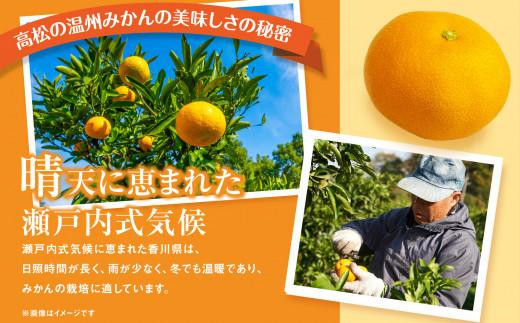瀬戸内温州みかん（2L～Mサイズ混合）約5kg【2025年10月中旬～2026年1月下旬配送】