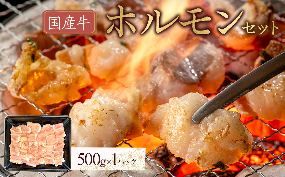 国産牛　ホルモンセット　500g