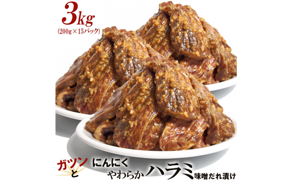 ガツンとにんにくやわらかハラミ味噌だれ漬け3kg（200g×15）