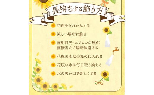 ヒマワリ切花(長さ60～80cm)【2024-6月上旬～2024-9月下旬配送】