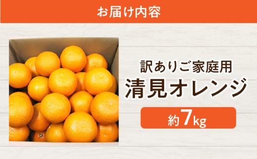 訳あり ご家庭用 清見オレンジ 約7kg【2025-3月中旬～2025-4月上旬配送】