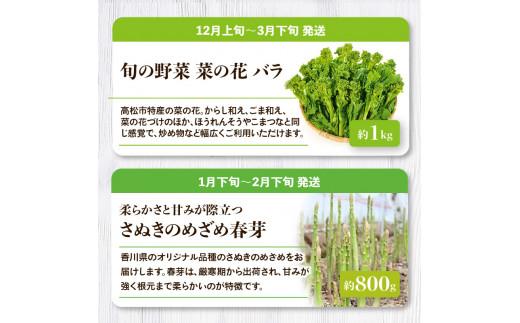 「香川県オリジナル品種さぬきのめざめ」と旬の野菜 定期便P