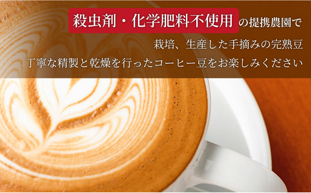 バリ島極深煎り 200g/猫と月コーヒー（深煎りブレンド）200g 各5袋 【1セット】 コーヒー豆 珈琲豆 深煎り 焙煎 コーヒー 珈琲 インドネシア産 ブラジル産 グアテマラ産 エチオピア産 バリ島産 ドリップコーヒー スペシャルティコーヒー 家カフェ 香川県 高松市