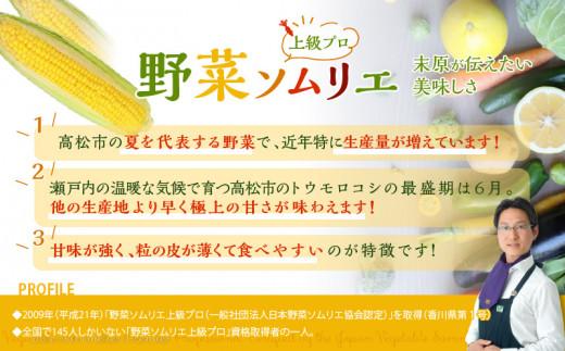 ＼寄附額改定／食べ応え抜群 太物2Lサイズ以上!ドルチェドリーム 約3.5kg【2025-6月上旬～2025-7月上旬配送】