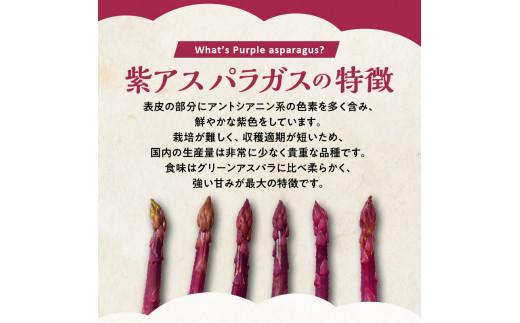 貴重で甘みが強い ! ご家庭用 紫 アスパラガス (細物・サイズ混合) 約900g【2024-6月上旬～2024-10月中旬配送】