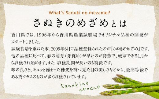 柔らかさと甘みが際立つ さぬきのめざめセミロング30cm(Mサイズ) 約1.3kg【2025-3月上旬～2025-6月下旬配送】