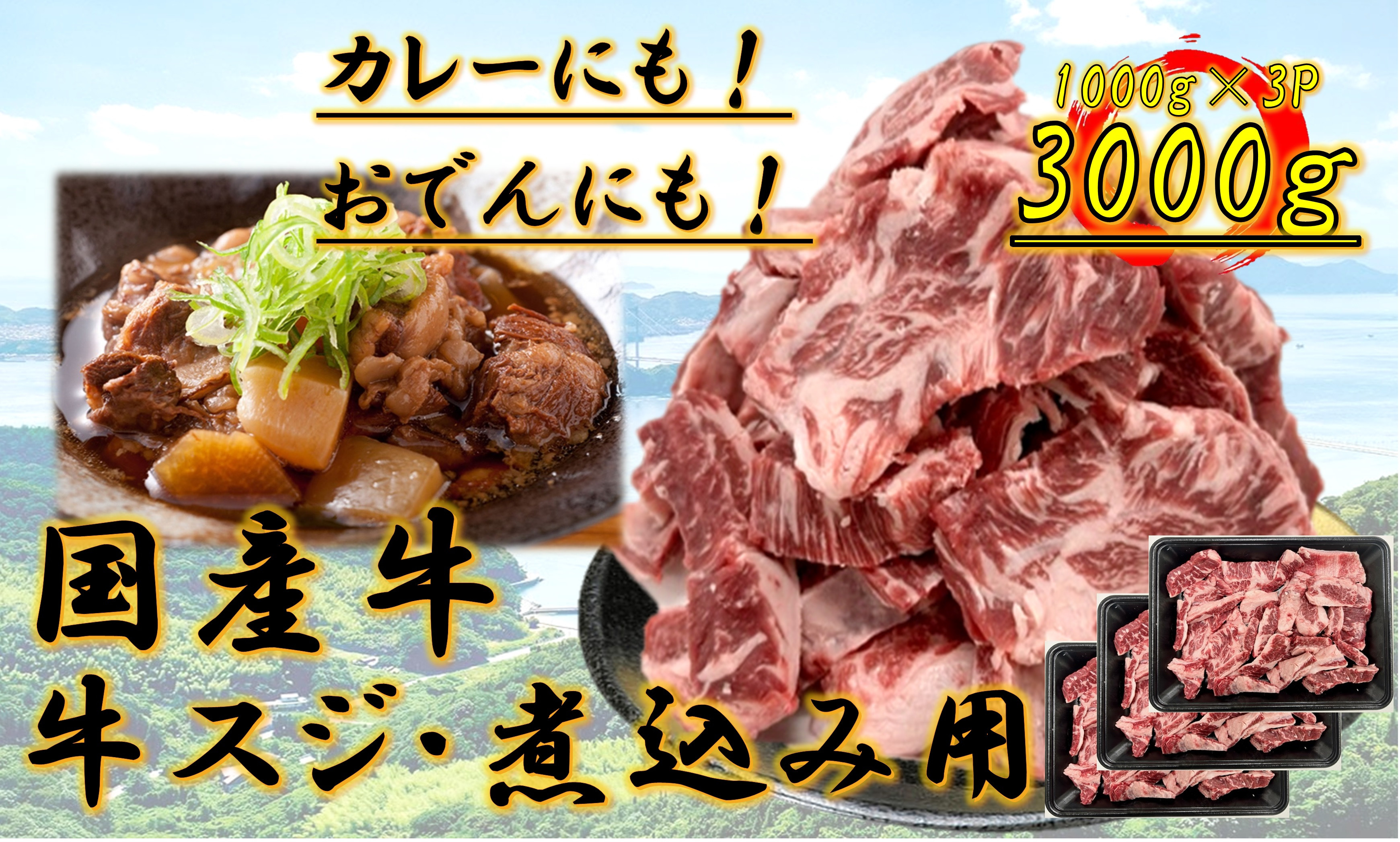 国産牛　スジ　3kg