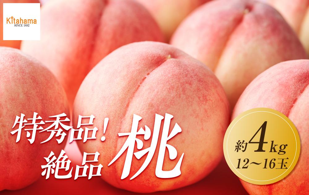 【2025年6月下旬より順次発送】特秀品！絶品「桃」約4kg(12～16玉)